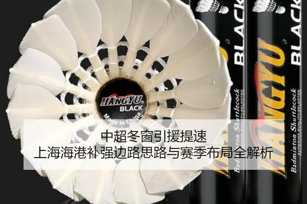 中超冬窗引援提速 上海海港补强边路思路与赛季布局全解析